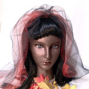 Harlequinn Gothic Veil